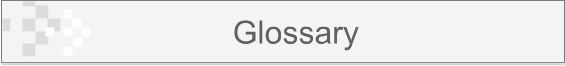 Glossary